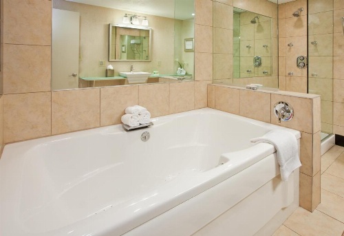 Holiday Inn At the Campus image 21